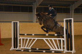 Hopp